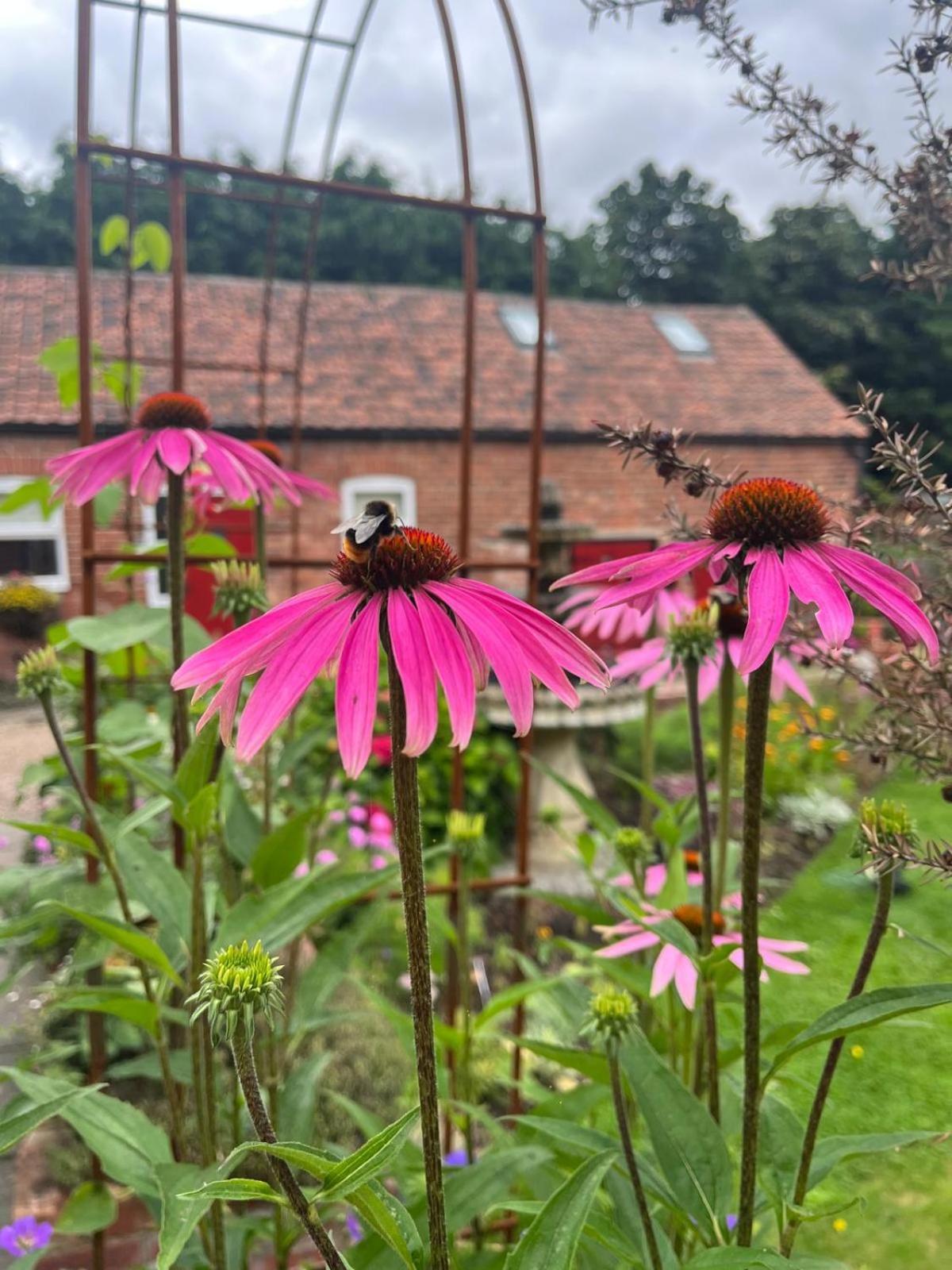 Home Farm & Lodge Bawtry Kültér fotó
